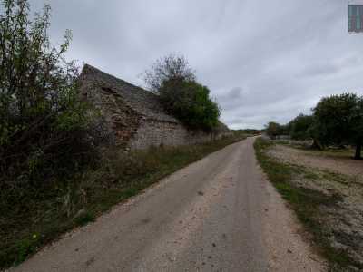 A poca distanza svetta poi un terzo lamione, pi� imponente degli altri: � lungo una ventina di metri...